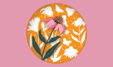 Go Green Wilmette Mallinckrodt workday event