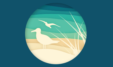 Summer Stewardship Elmwood Dunes workday art