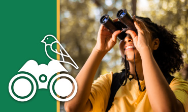 Birding Basics event image